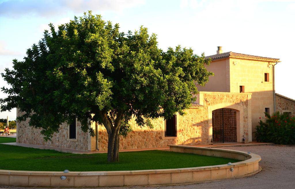 Finca Sol Y Vida - Agroturismo Son Sampoli Guest house